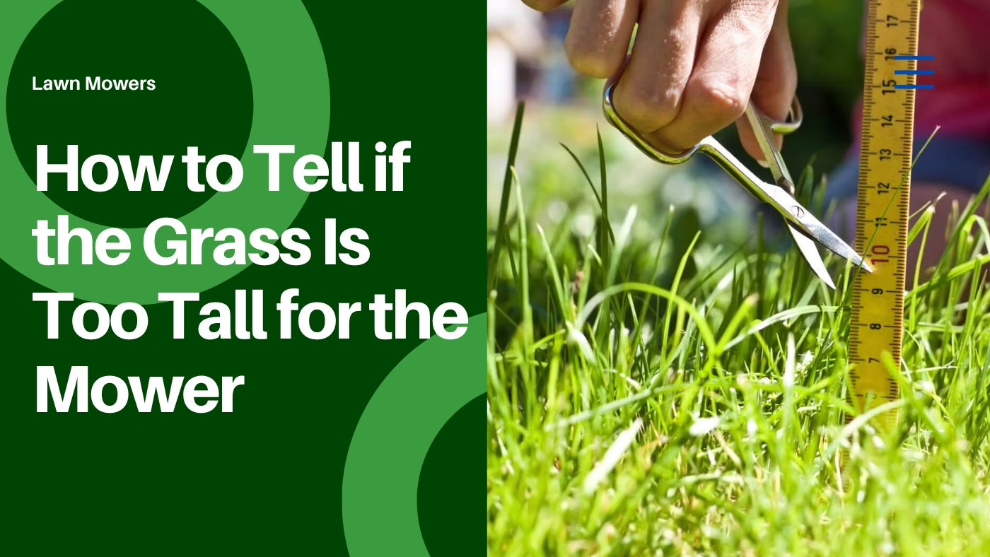 How to Tell if the Grass Is Too Tall for the Mower