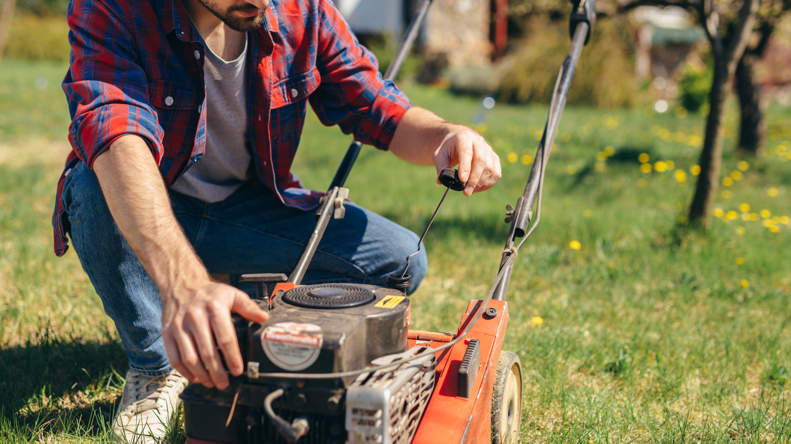 Don't Forget to Check The Oil : Lawn Care Tips