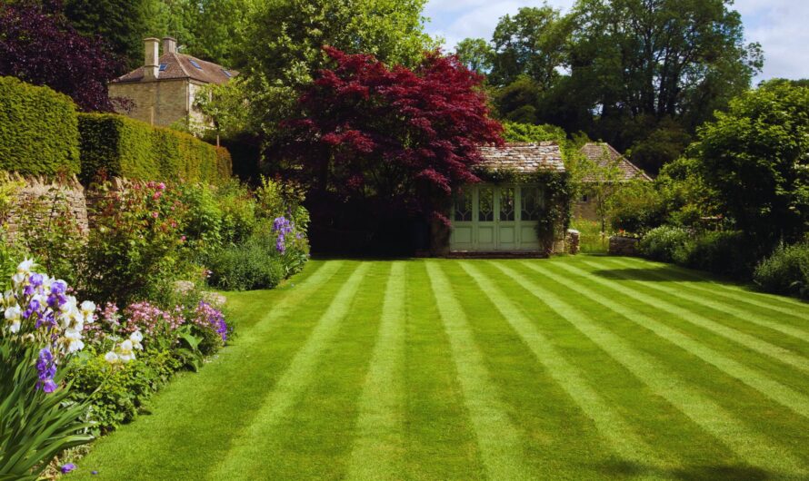 Lawn Artistry: Creative Mowing Patterns to Elevate Your Yard