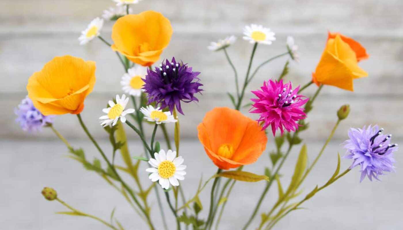 Top Wildflowers to Grace Your Garden