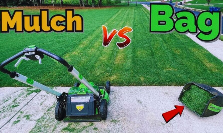 The Great Debate: Mulching vs. Bagging – Which Lawn Care Method Reigns Supreme?