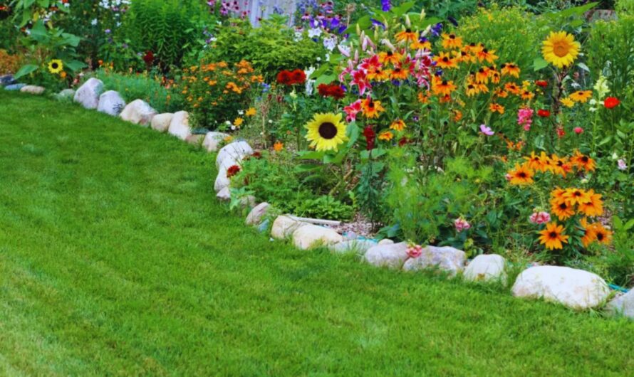 Different Options for Your Garden Beds: Elevate Your Garden