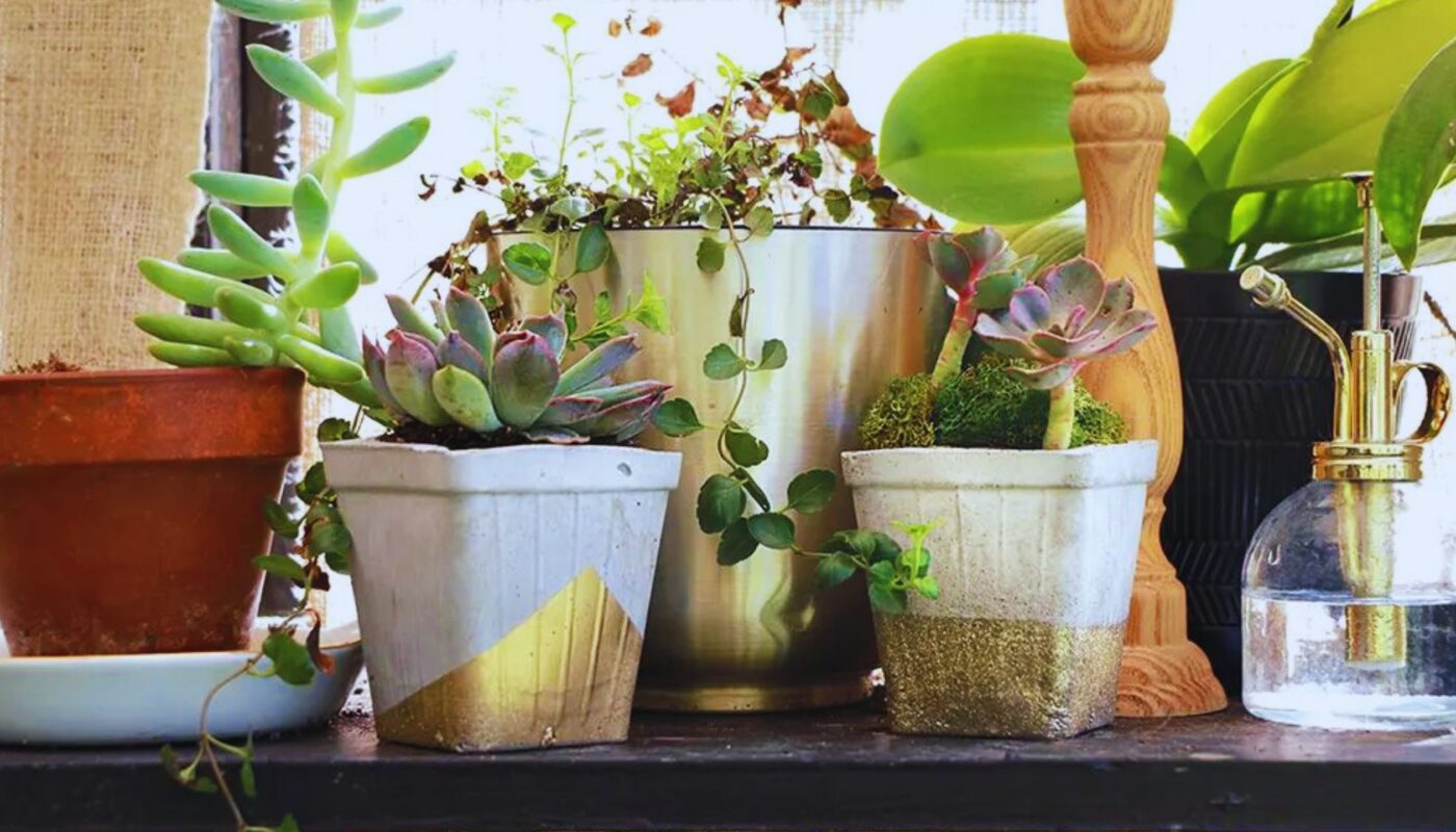 5 Creative DIY Planters