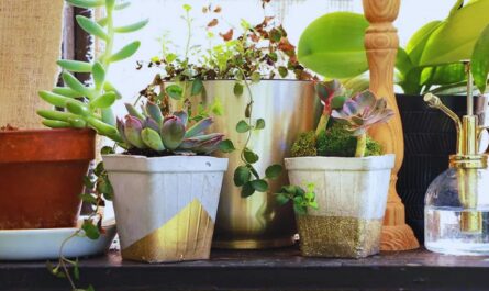 5 Creative DIY Planters