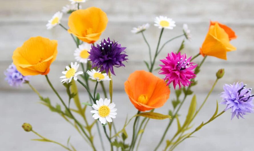 The Top Wildflowers to Grace Your Garden: Summer’s Symphony