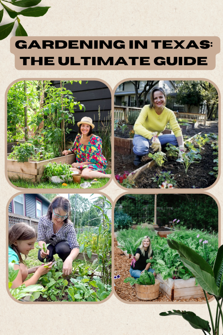 Gardening in Texas: Your Ultimate Guide