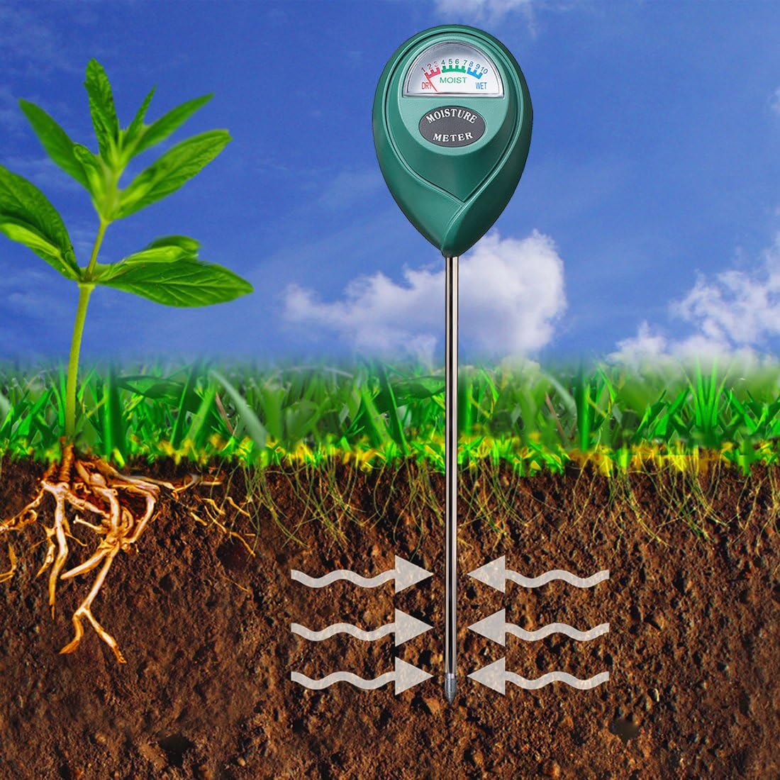 Monitor soil moisture 