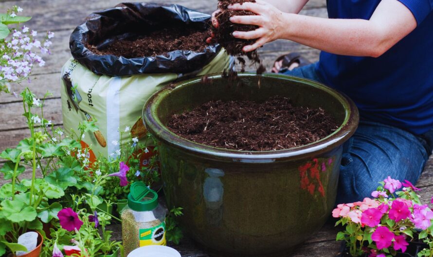 Container Gardening 101- Your Guide to Container Gardening