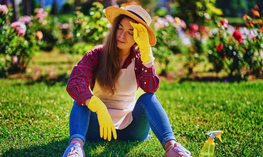 Summer Gardening Tips for Californian Soil: Beat the Heat