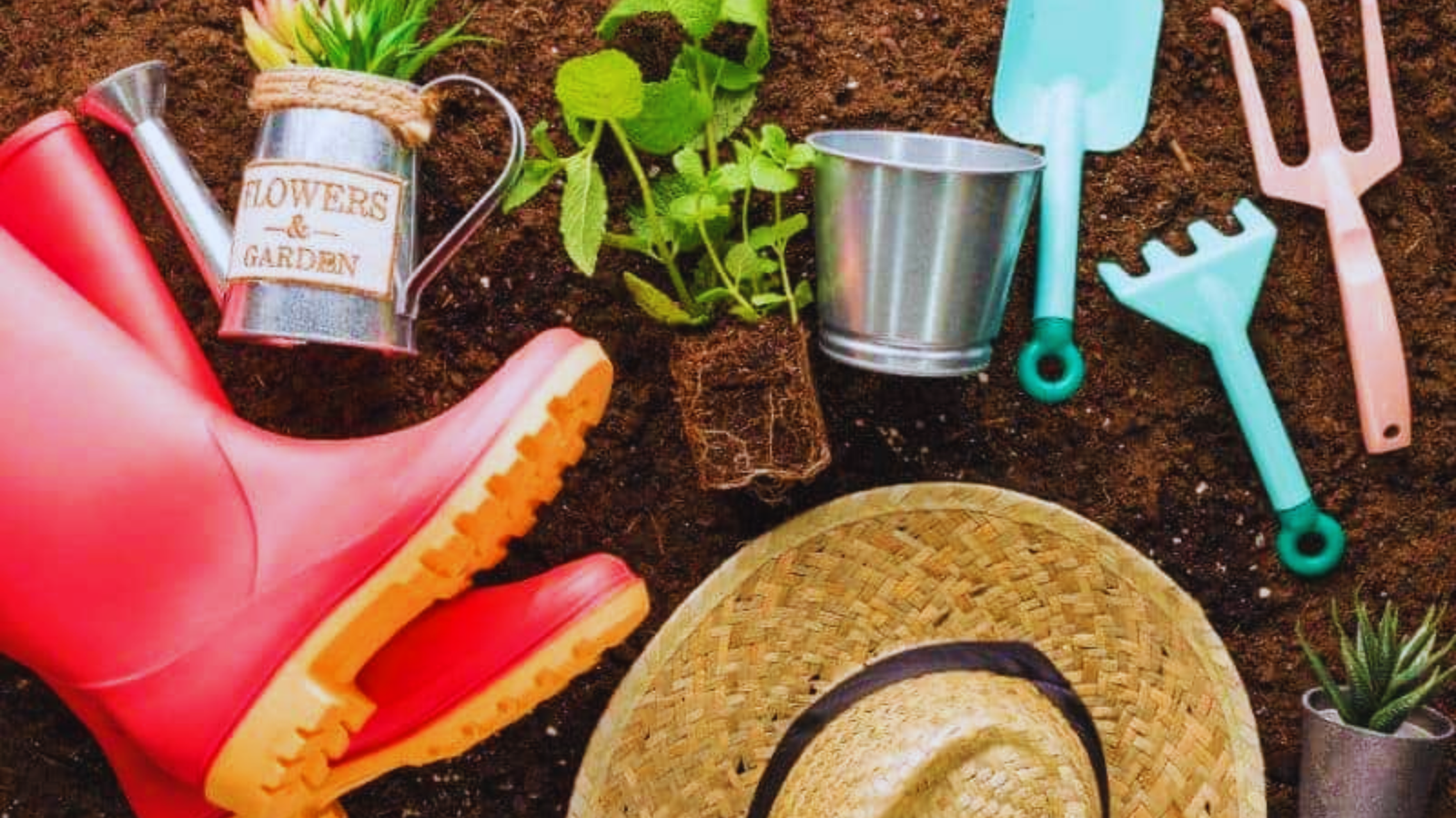 innovative gardening tools